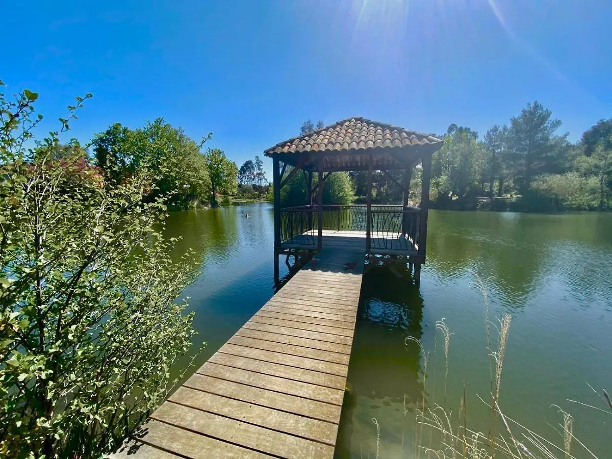 Les Restanques Vue Mer 2148 Grimaud France